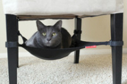 Cat Crib Kattbädd
